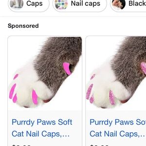 Fake nails for your cat